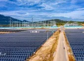 Đưa dự án điện mặt trời 12.000 tỉ đồng vào hoạt động