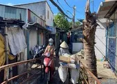 Cận cảnh hàng loạt cầu, đường ở quận 7 được mở rộng ảnh 9 3 cây cầu được quận 7 gấp rút khởi công