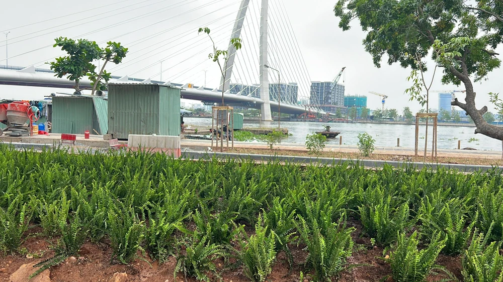 Cây cảnh được trồng phía dưới dạ cầu. Ảnh: ĐT. Cây cảnh được trồng phía dưới dạ cầu. Ảnh: ĐT.