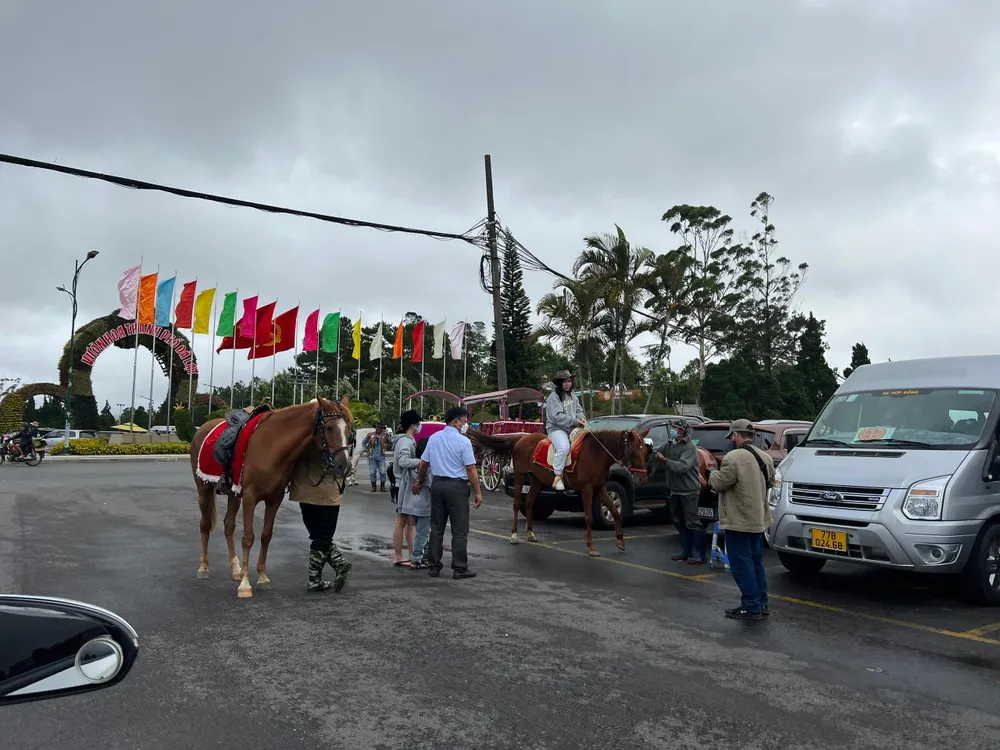 TP Đà Lạt đã bắt đầu đông đúc. Ảnh: ĐT.