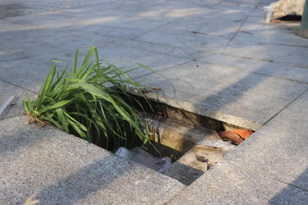 Sau nắp chắn rác, đến lượt nắp hố ga gần cầu Thủ Thiêm 2 bị trộm ảnh 4 Sau nắp chắn rác, đến lượt nắp hố ga gần cầu Thủ Thiêm 2 bị trộm ảnh 4