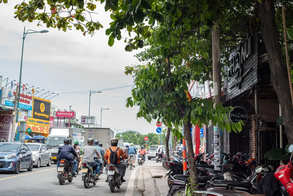 Hàng loạt biển báo bị che khuất, gây khó nhìn cho người tham gia giao thông. Ảnh: HƯỚNG HỒNG. Hàng loạt biển báo bị che khuất, gây khó nhìn cho người tham gia giao thông. Ảnh: HƯỚNG HỒNG.