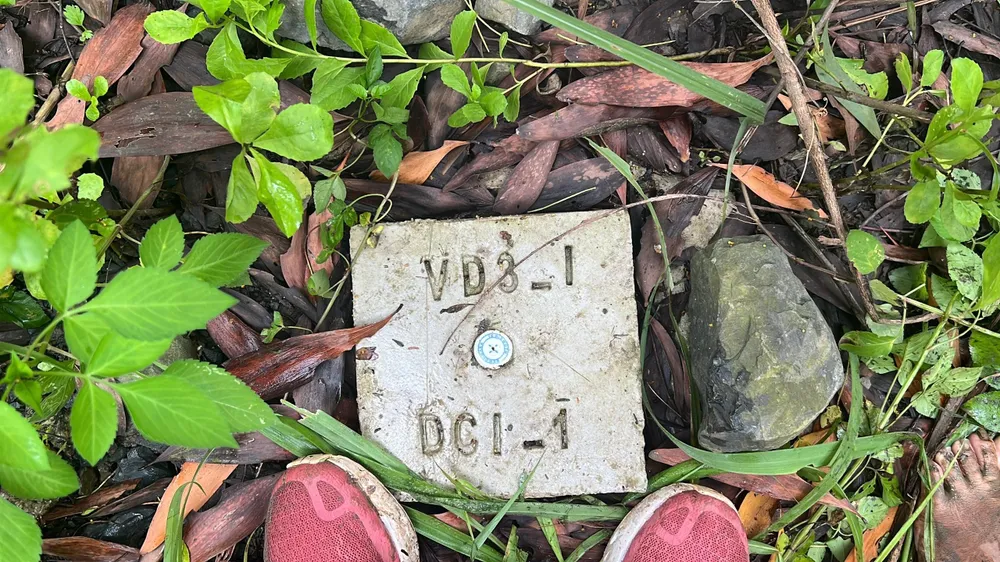 Trung bình mỗi cọc cách nhau khoảng 50 m và buộc phải sử dụng cọc bê tông. Ảnh: ĐT.