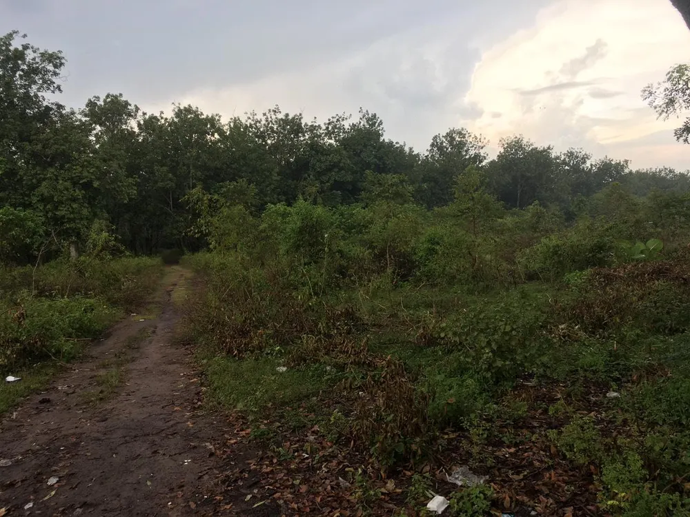 Địa phận huyện Củ Chi - nơi tuyến vành đai 3 TP.HCM đi qua. Ảnh: CTV.