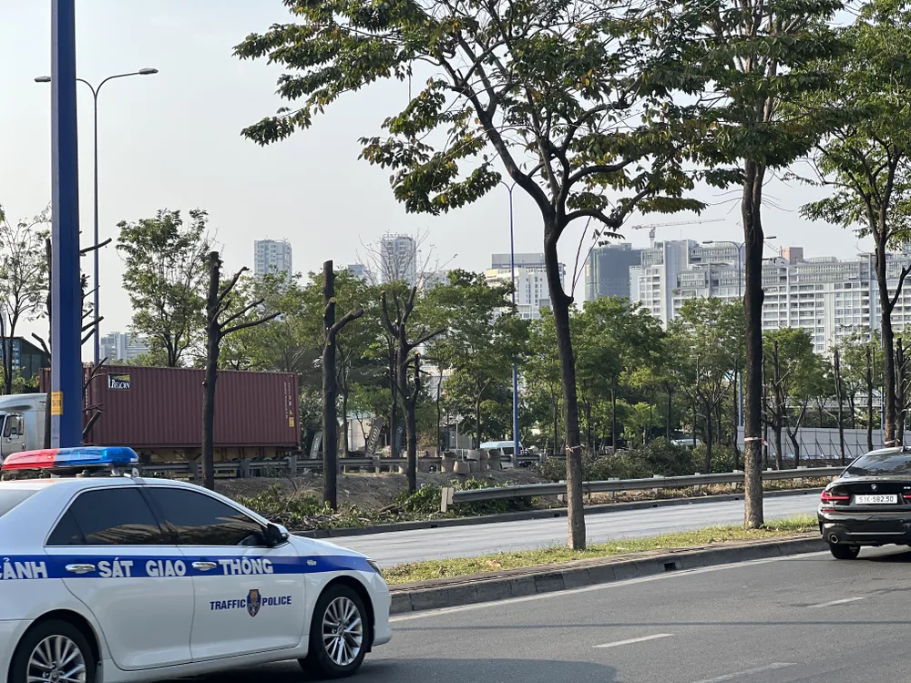 Chủ đầu tư dự án xây dựng nút giao thông An Phú - Ban Quản lý Dự án đầu tư xây dựng các công trình giao thông TP cho biết khu vực được cắt cành cây sẽ được rào chắn để làm hạng mục hầm chui trong thời gian tới. Ảnh: ĐÀO TRANG.