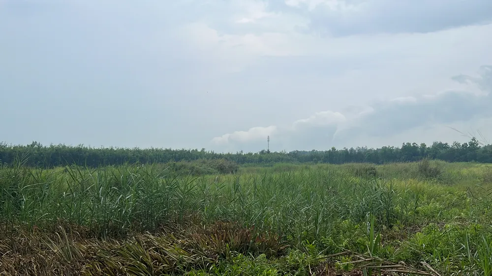 Thường trực Ban chỉ huy Dự án thành phần 2 bàn giao phần diện tích đất bị ảnh hưởng dự án trước ngày 15-5. Ảnh: ĐÀO TRANG