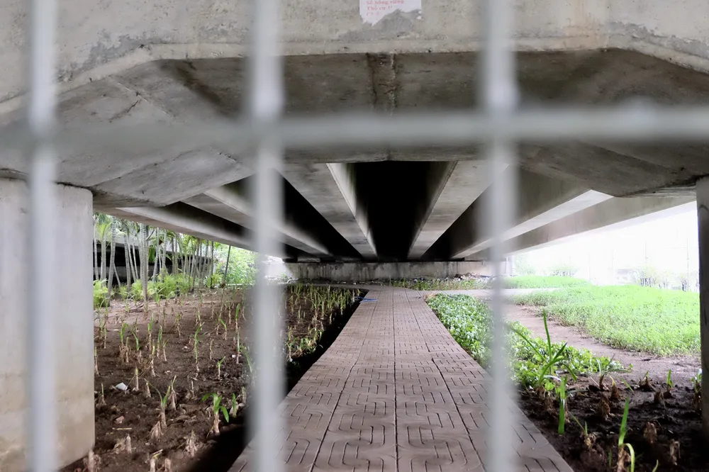 Dạ cầu được trồng cây, xây dựng mảng xanh. Ảnh: ĐT Dạ cầu được trồng cây, xây dựng mảng xanh. Ảnh: ĐT