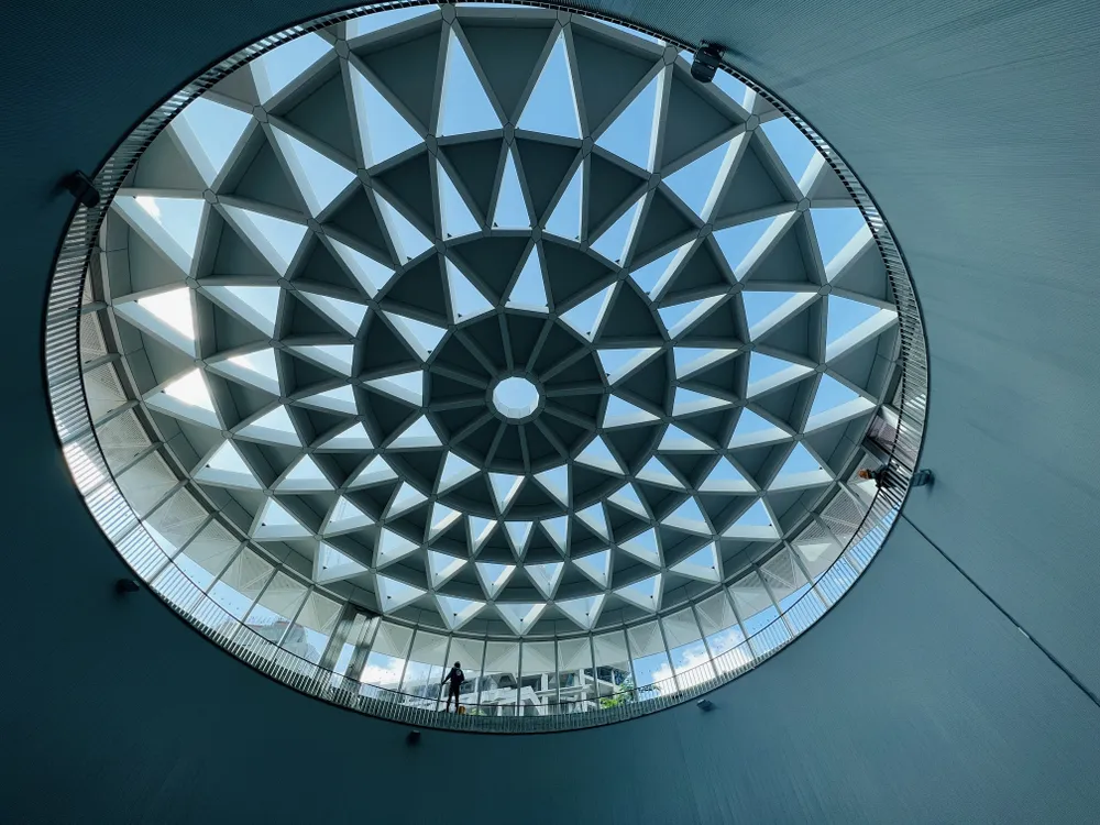 Hình ảnh đóa hoa sen khổng lồ nhìn từ từ B1.