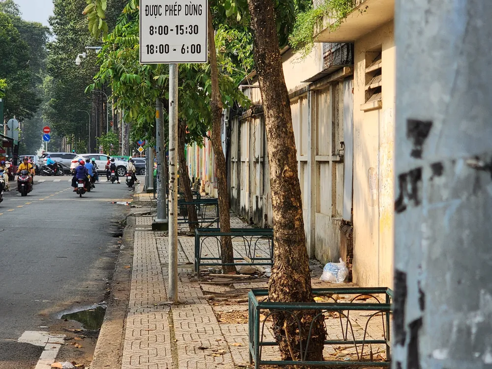 Thảm cỏ quấn quanh trụ điện đã được tháo gỡ. cot-1.jpg