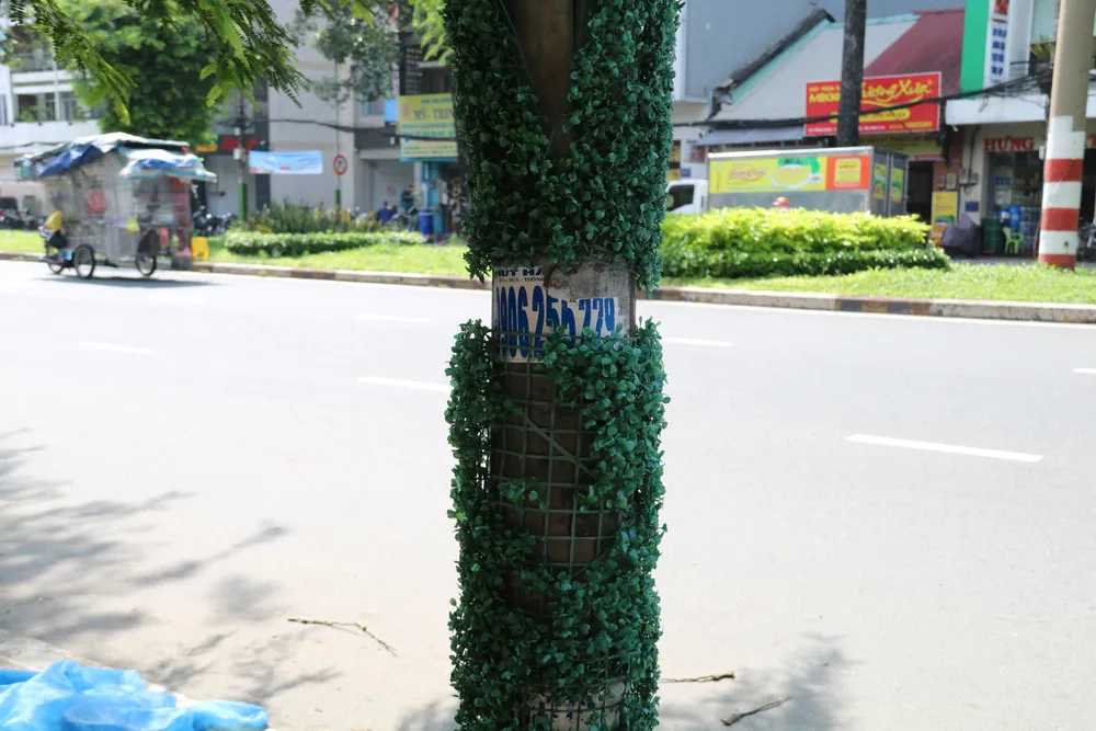Một số thảm cỏ bị xuống cấp, không còn phù hợp. img-9544-2152-8730.jpg