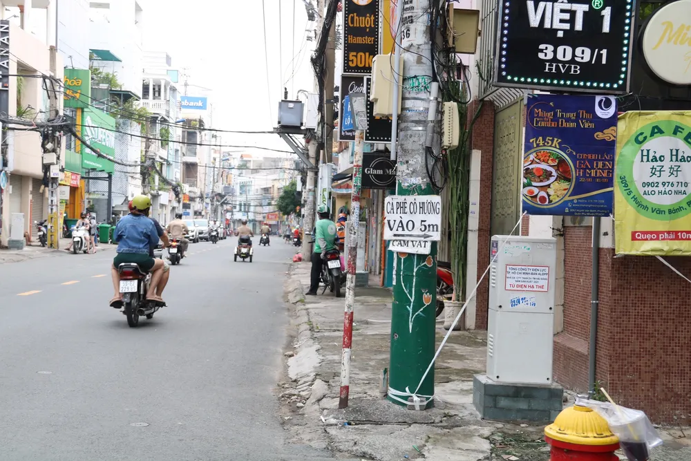 Trên đường Huỳnh Văn Bánh (quận Phú Nhuận) nhiều cột điện được tô điểm nhưng... ve-tranh 6.jpg