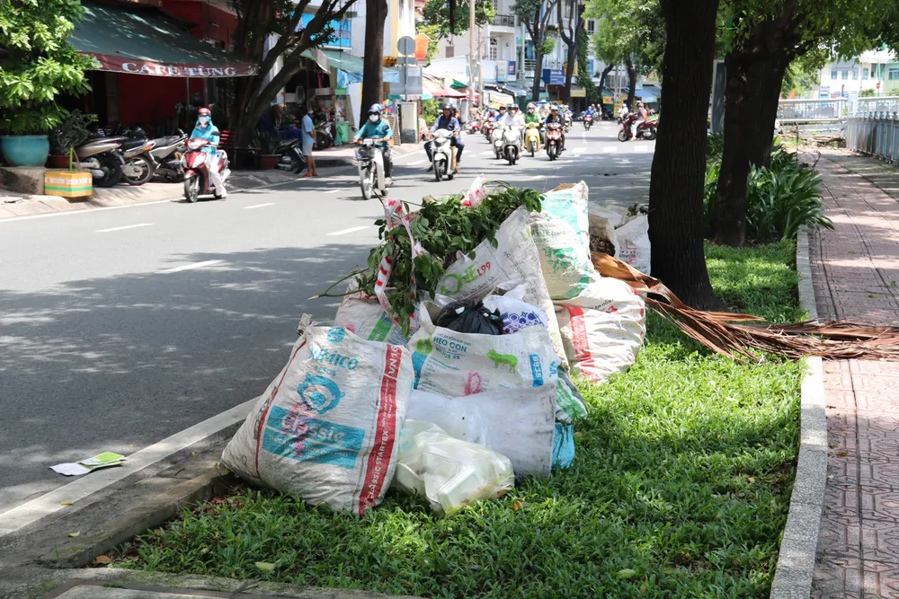 ... và cả trên thảm cỏ z4767948815234_ff2e3b71f524ea1321d223ef9796313a.jpg