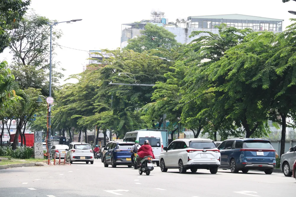Dải phân cách trồng cây trên đường Trần Quốc Hoàn làm cho tuyến đường thường xuyên ùn ứ. z4809825083502-f3da2a433728cf16fe8ea23cc3aa9698-8318-7914.jpg