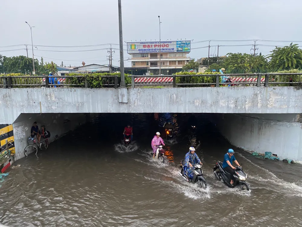 Các phương tiện di chuyển khó khăn. z4810762606915-98ae571857c096b3a3604eb7af66bb37-662-970.jpg