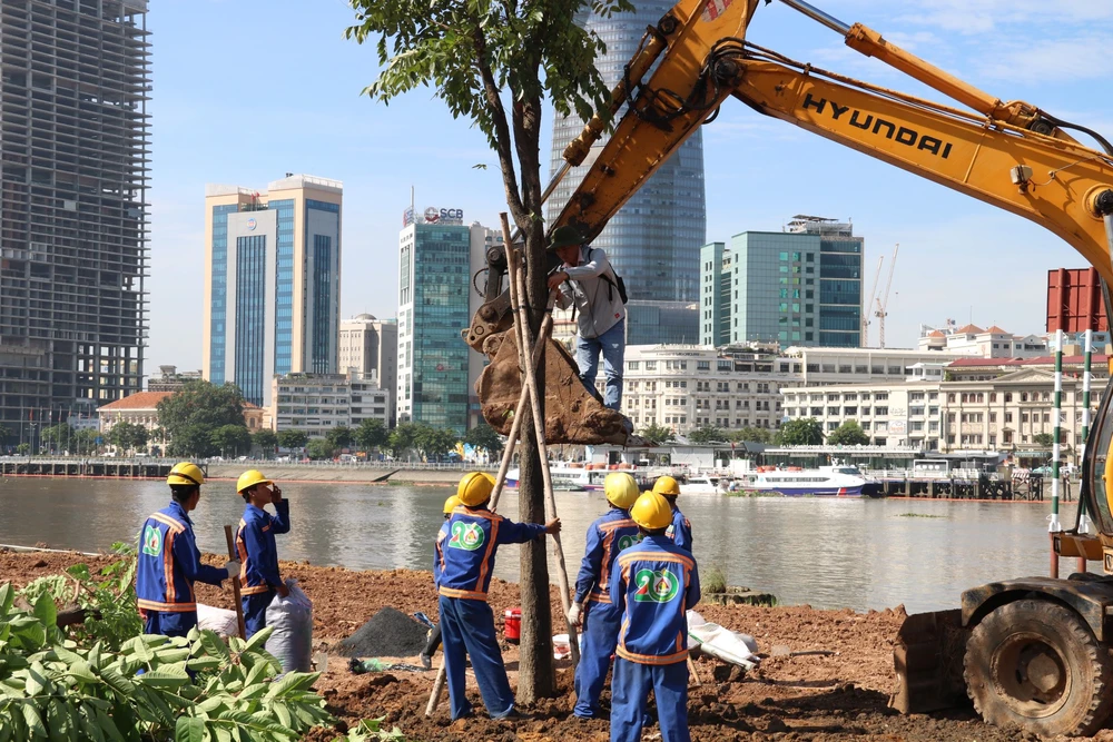 hoa hướng dương