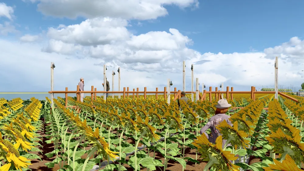 công viên bờ sông Sài Gòn