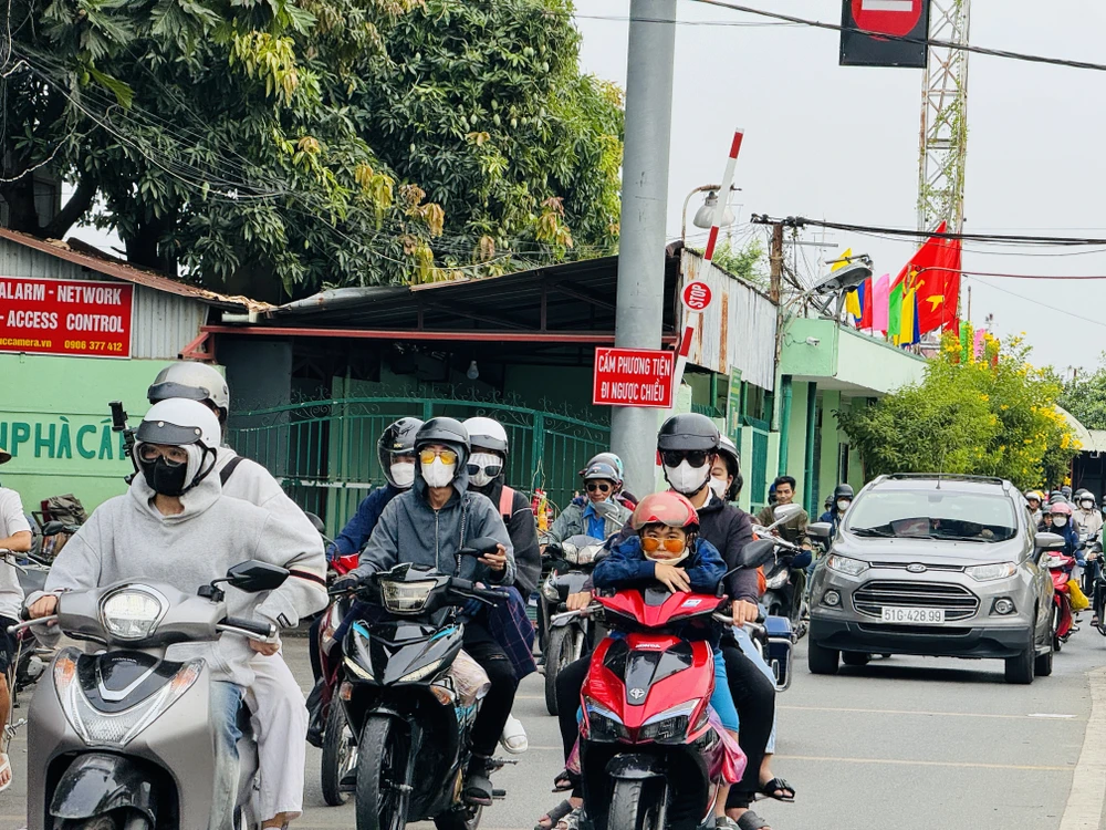 Tết dương lịch 2024