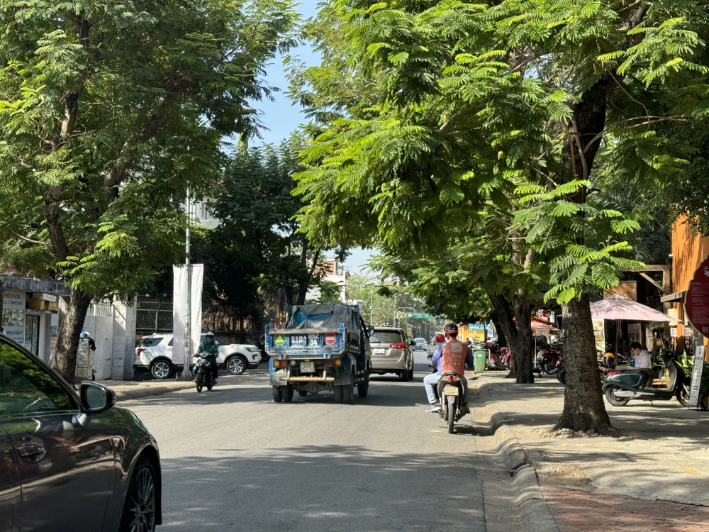 phố đêm Thảo Điền