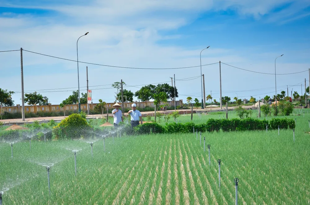 lưới điện quốc gia ở đảo Lý Sơn.