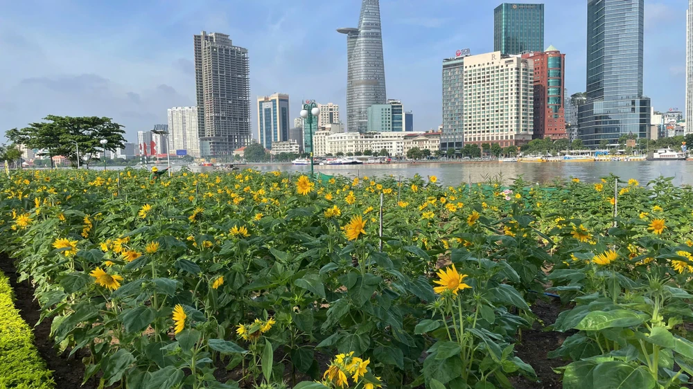 oa này để tô điểm cho vẻ đẹp dọc Công viên bờ sông Sài Gòn, TP Thủ Đức.