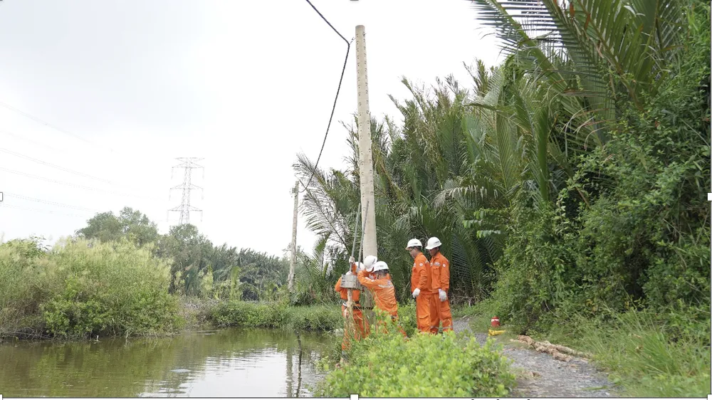 Đội quản lý Lưới điện Công ty Duyên Hải đang gia cố kết cấu móng trụ điện. Điện lực TP.HCM đảm bảo an toàn tiện mùa mưa bão
