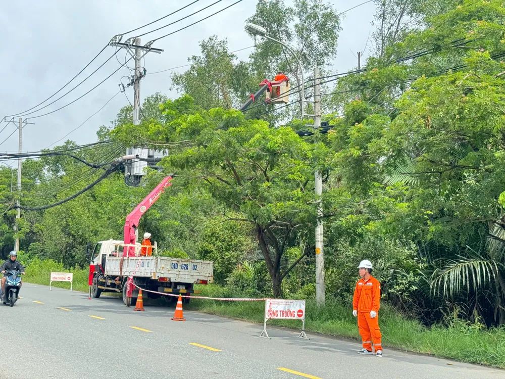 Đội quản lý Lưới điện Công ty Duyên Hải cắt tỉa, mé nhánh cây hành lang lưới điện 22kV trên đường Nguyễn Bình. Ảnh: ĐÀO TRANG Điện lực TP.CHM đảm bảo an toàn điện mùa mưa bão