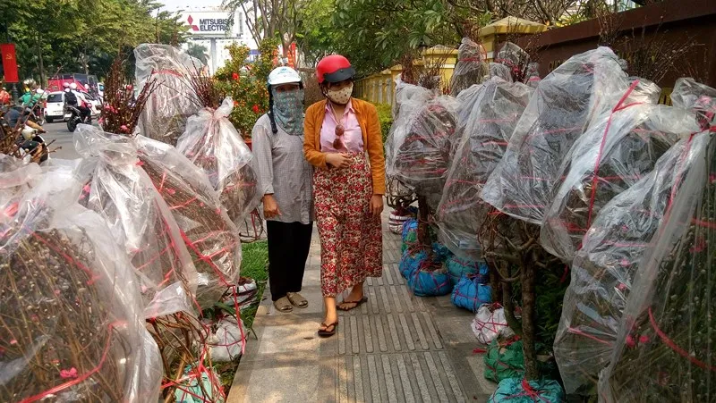 Hoa Tết ba miền thi nhau 'đọ sắc đep' ở TPHCM ảnh 2