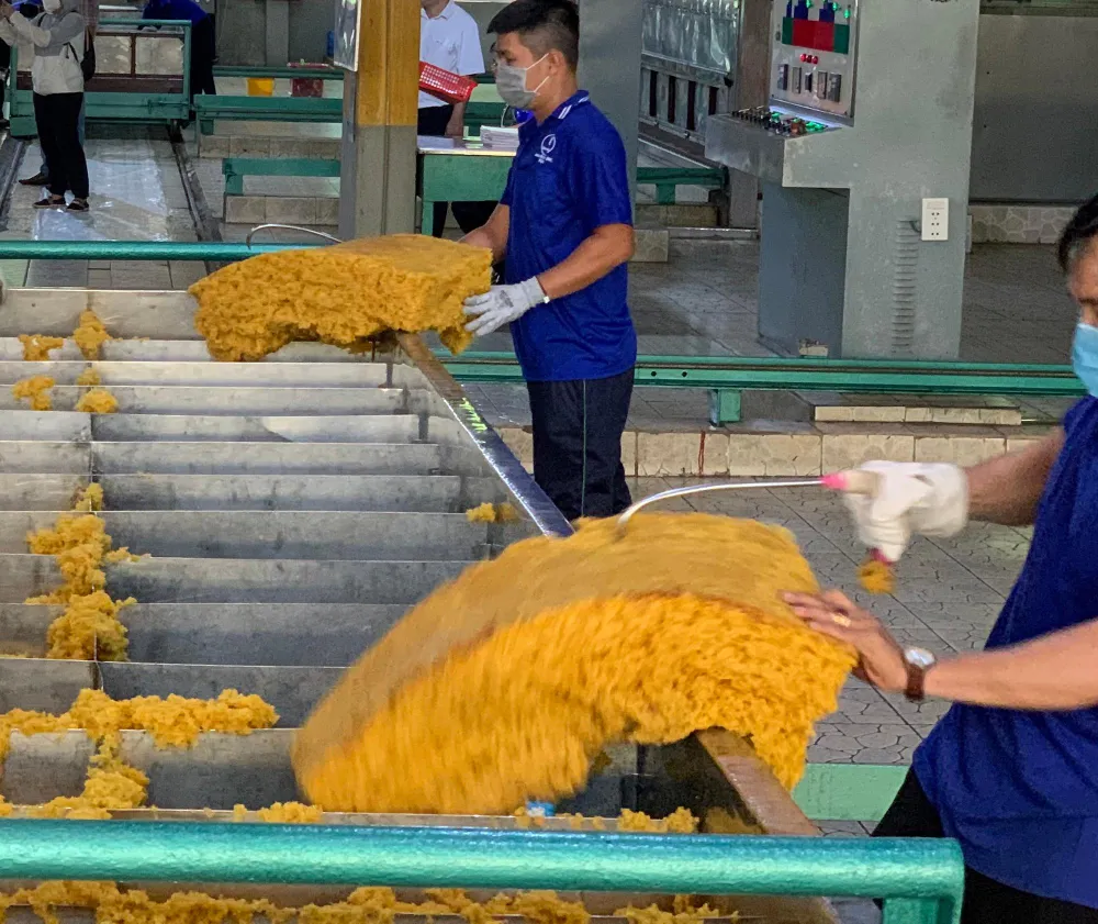 Nhiều doanh nghiệp chưa được hoàn thuế với số tiền rất lớn. Ảnh: Q.H Nhiều doanh nghiệp chưa được hoàn thuế với số tiền rất lớn. Ảnh: Q.H