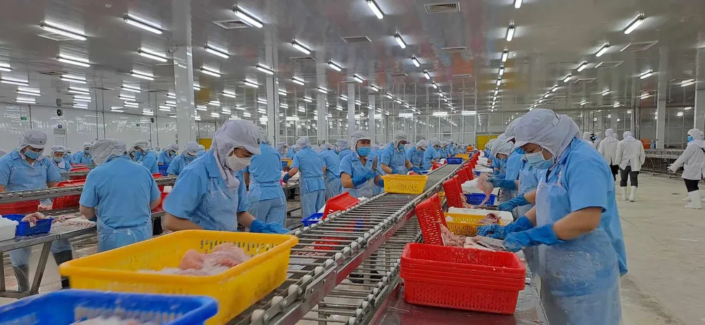 Do giá cước tàu biển tăng cao, một doanh nghiệp xuất khẩu thủy sản, trái cây...đang nỗ lực tìm cách vận chuyển qua tuyến đường khác như sử dụng đường sắt, đường hàng không. Ảnh: Thu Hà hang -xuat -khau 1.jpg