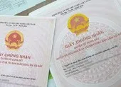 Hủy án vì tòa xử nhẹ ảnh 1 Hủy án vì có dấu hiệu bỏ lọt hành vi phạm tội