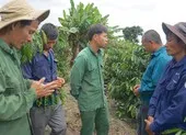 Công lý và nhiệm vụ chính trị nhìn từ vụ cưa gỗ khô ảnh 2 Lập luận của VKSND Cấp cao Đà Nẵng trong kháng nghị giám đốc thẩm vụ cưa gỗ khô