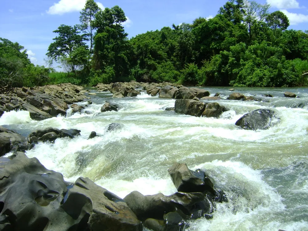 Đề nghị Thủ tướng dừng dự án thủy điện 850 tỉ ở Tây Nguyên ảnh 1