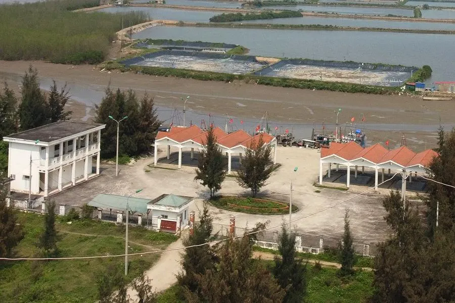 Đầu tư cảng cá 43 tỉ đồng rồi bỏ hoang ở Thanh Hóa ảnh 9