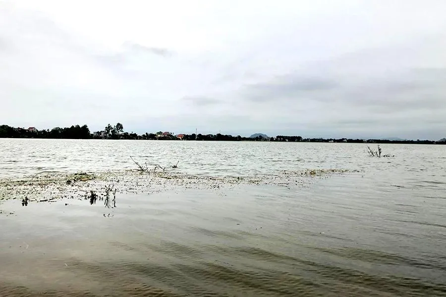 Mưa lũ kéo dài nhiều ngày khiến diện tích lúa của nhiều xã của huyện Thiệu Hóa ngập sâu trong nước. Ảnh: ĐẶNG TRUNG