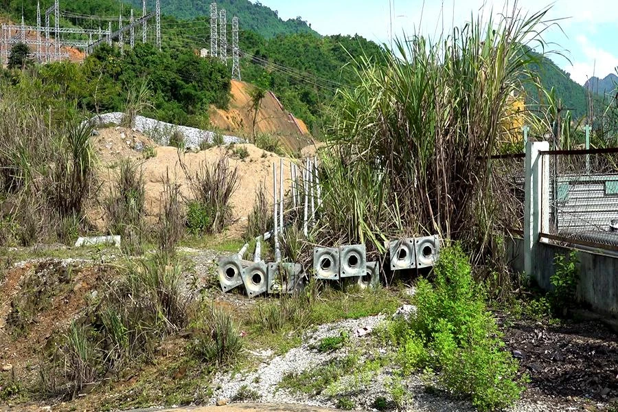Cỏ mọc um tùm trong dự án Thủy điện Hồi Xuân.