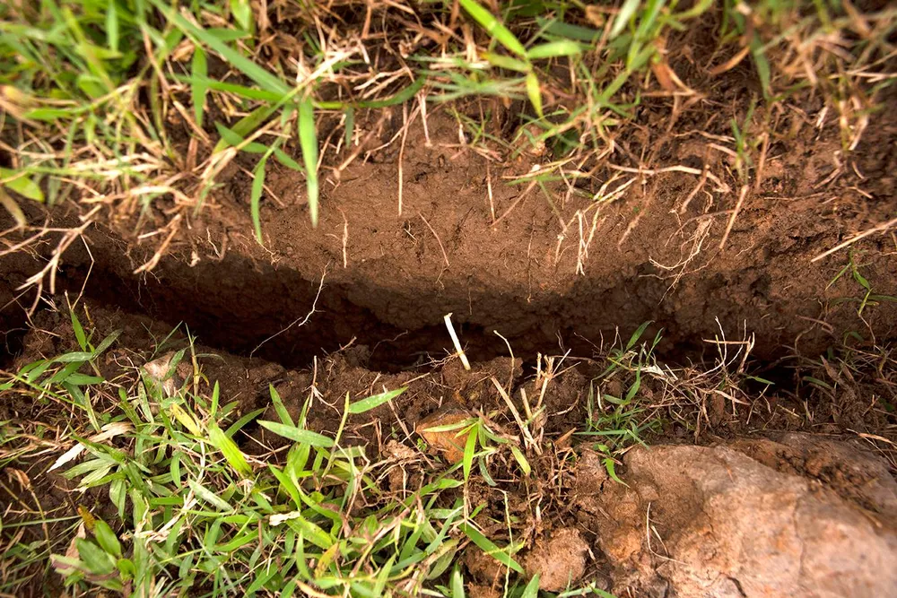 Phía dưới mặt đê xuất hiện nhiều điểm nứt toác.