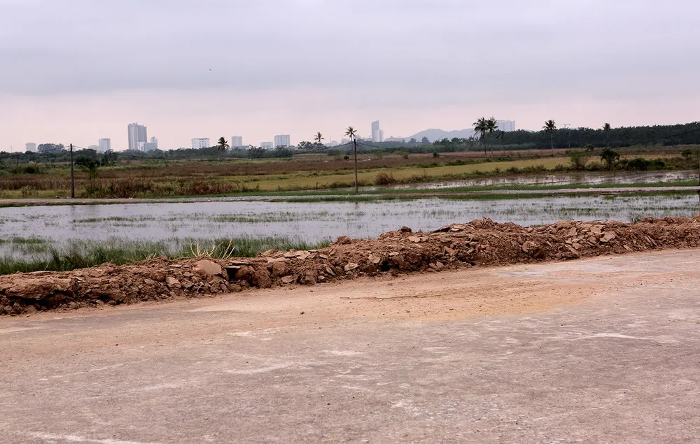 Việc gia cố đê khẩn cấp nhằm đảm bảo ổn định, an toàn lâu dài cho công trình.