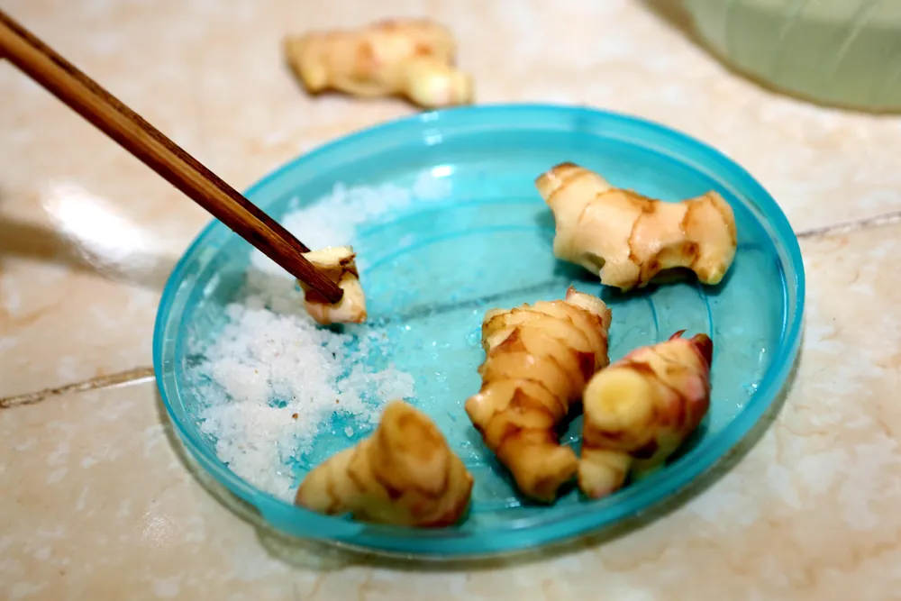 Những củ riềng chấm muối được các em ăn ngon lành. Ảnh: ĐẶNG TRUNG