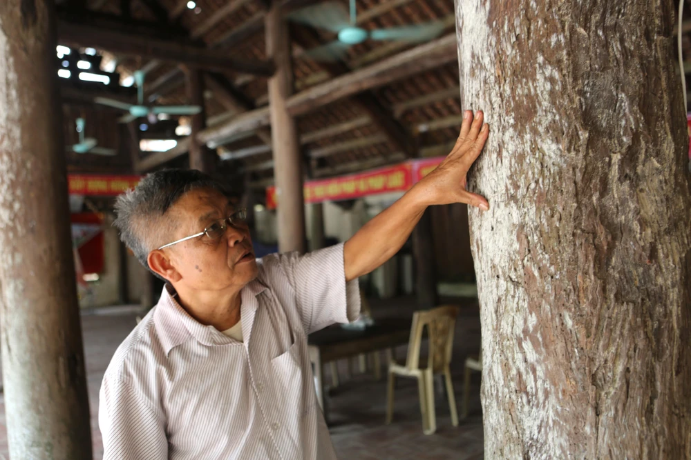 Đình Thượng Phú cũng nổi bật với hệ thống cột gỗ quý giá (lim, sến) vô cùng chắc chắn tồn tại suốt 600 năm qua trước những biến động bởi thời gian mưa bão. Ảnh: ĐẶNG TRUNG