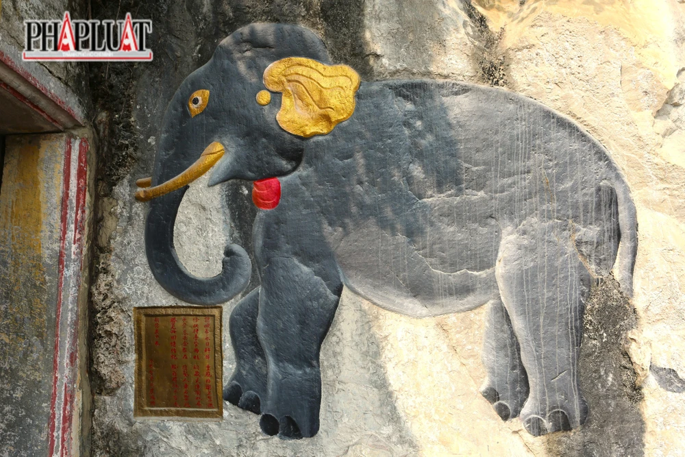 Tuy nhiên, ông Lợi thừa nhận để xảy ra tình trạng trên cũng do một phần quản lý chưa tốt của địa phương.