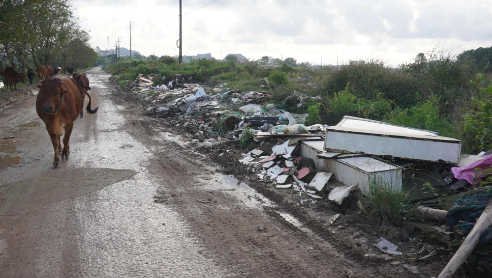 Nhiều tuyến đường ở khu công nghiệp này thường xuyên xảy ra tình trạng đổ trộm rác thải.