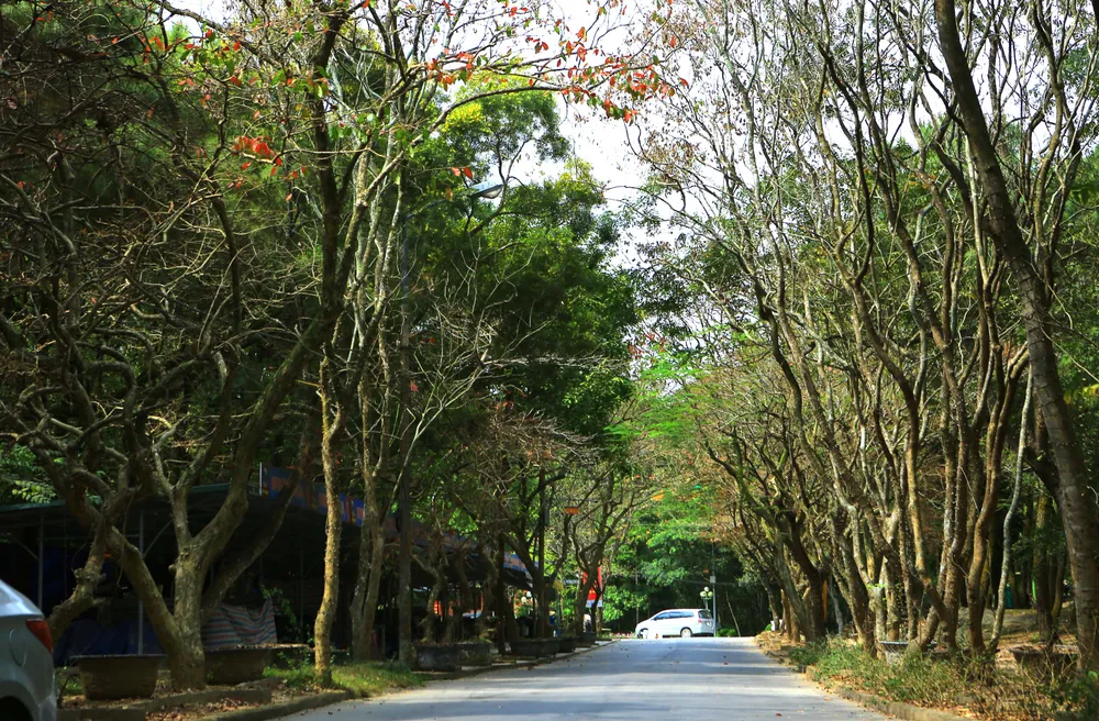 Du khách từ TP Thanh Hóa chỉ mất hơn 30 phút để đến đến với Hòn Trống Mái nằm trên đỉnh núi Trường Lệ, thành phố Sầm Sơn Ảnh: ĐẶNG TRUNG Du khách từ TP Thanh Hóa chỉ mất hơn 30 phút để đến đến với Hòn Trống Mái nằm trên đỉnh núi Trường Lệ, thành phố Sầm Sơn Ảnh: ĐẶNG TRUNG