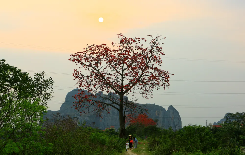 Ngắm nhìn những đốm lửa đỏ rực một góc trời khiến bao người say đắm. Ảnh: ĐẶNG TRUNG