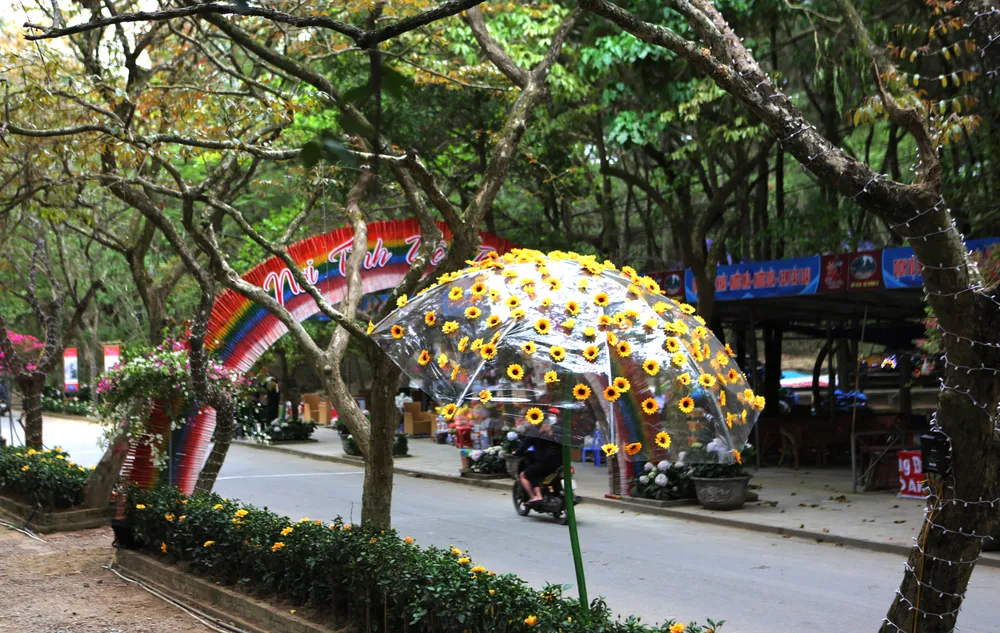 Những bông hoa hướng dương như một điểm nhấn khiến cho con đường tình yêu trở nên lộng lẫy. Ảnh: ĐẶNG TRUNG