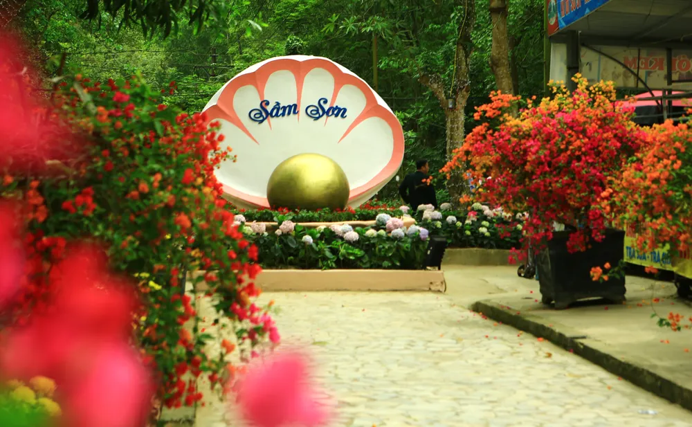 Và những con đường hoa đã sẵn sàng chào đón người dân, du khách đến với Sầm Sơn. Ảnh: ĐẶNG TRUNG