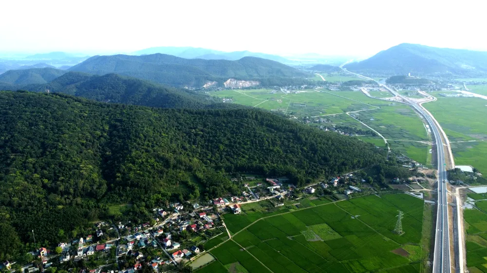 Cận cảnh rừng sến Tam Quy