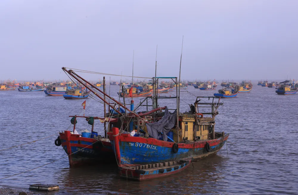 Hình ảnh làng biển Diêm Phố từ trên cao