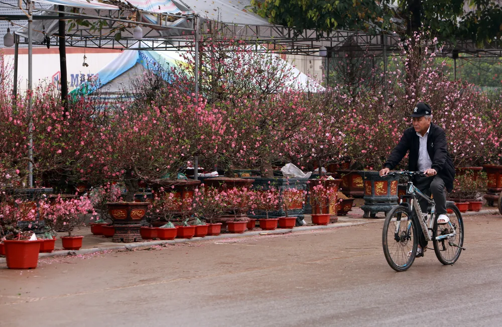 Những phận người mưu sinh ngày cận Tết-15.JPG