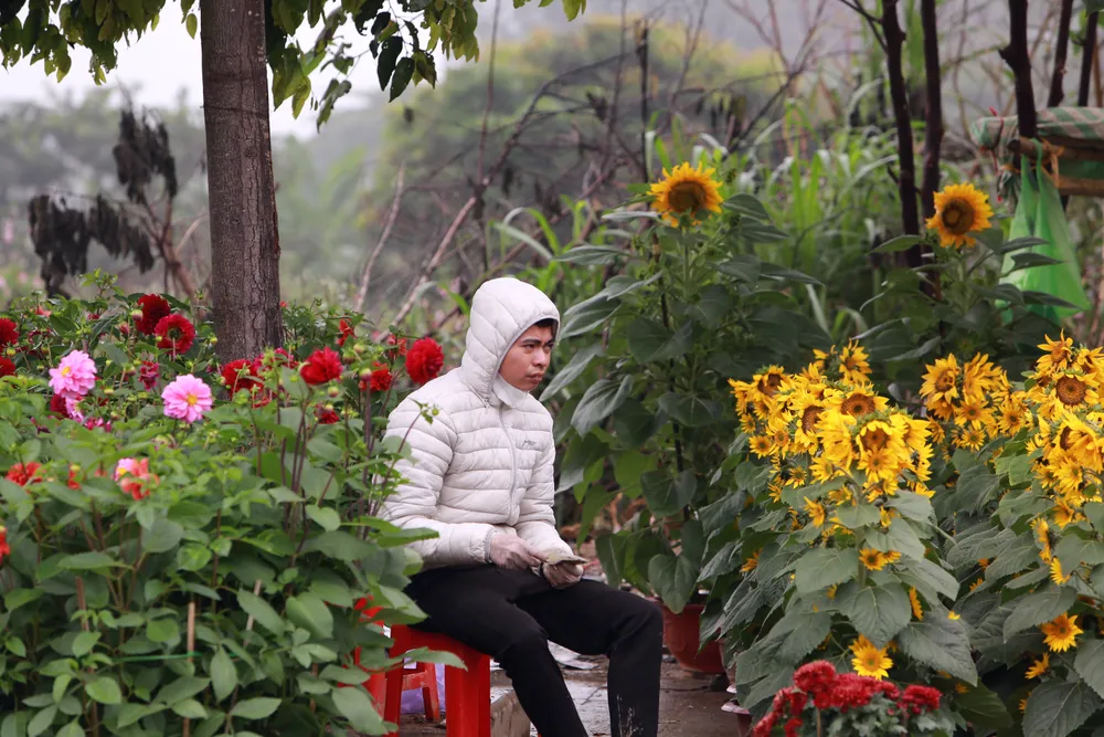 Những phận người mưu sinh ngày cận Tết-19.JPG