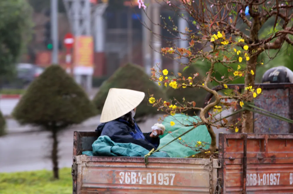 Những phận người mưu sinh ngày cận Tết-2.JPG